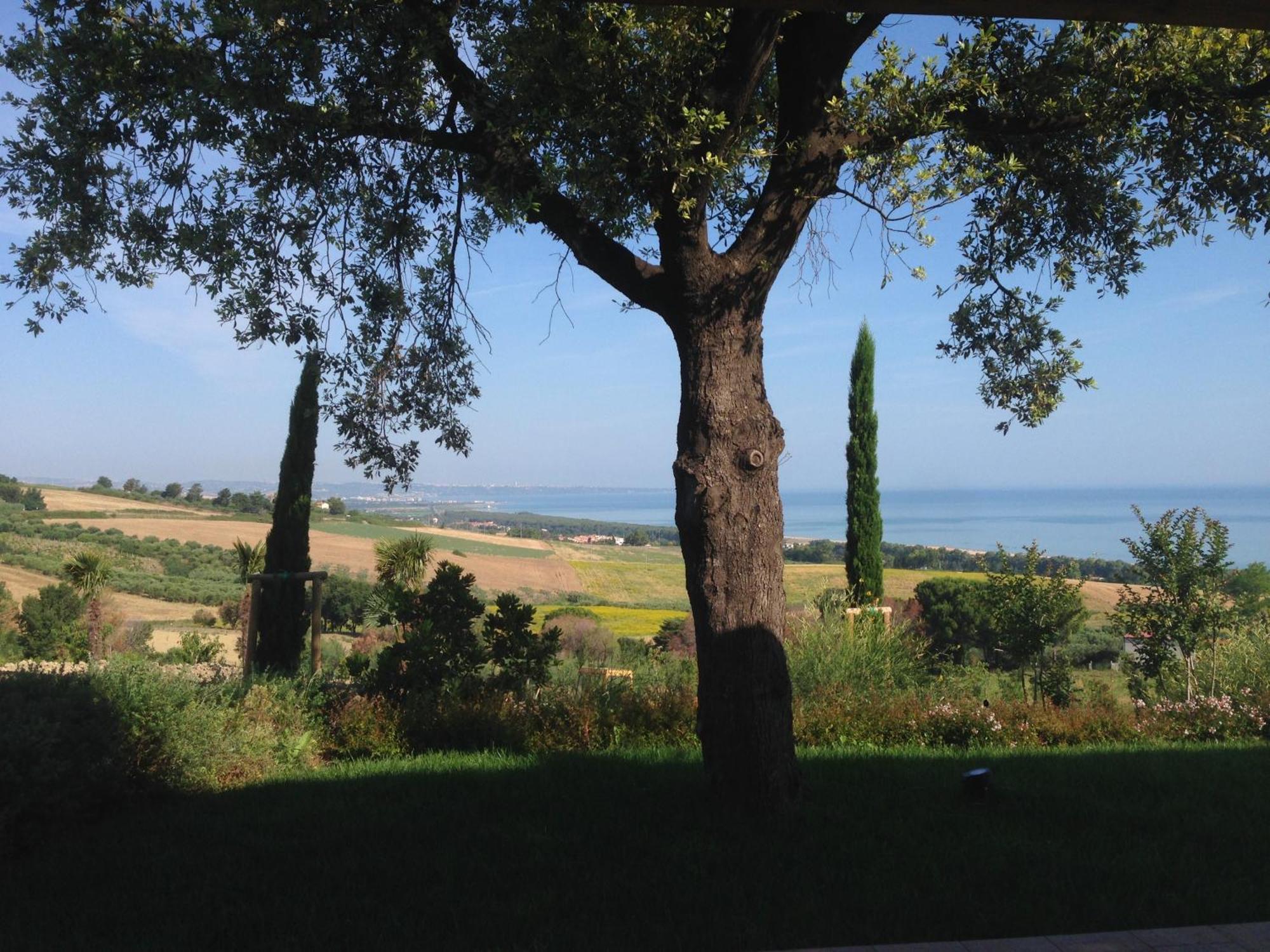Colle Degli Ulivi * Petacciato
