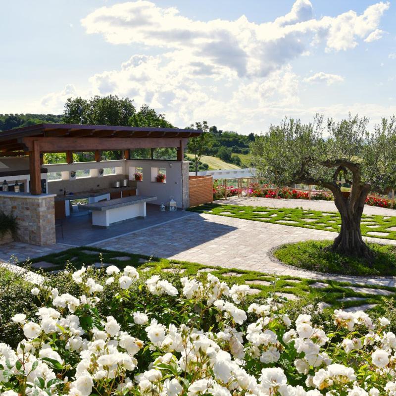 Colle Degli Ulivi Bauernhof *